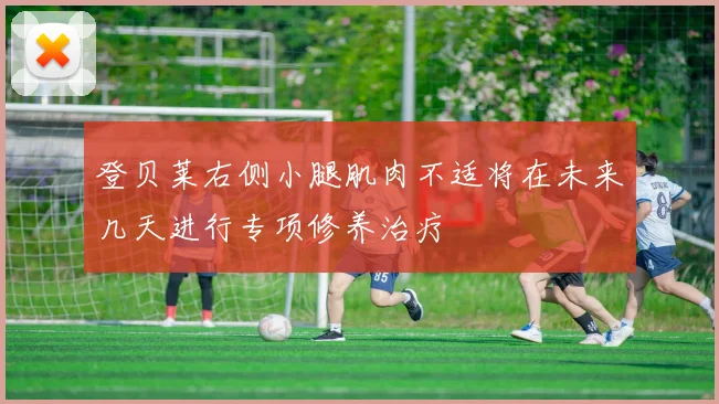 登贝莱右侧小腿肌肉不适将在未来几天进行专项修养治疗